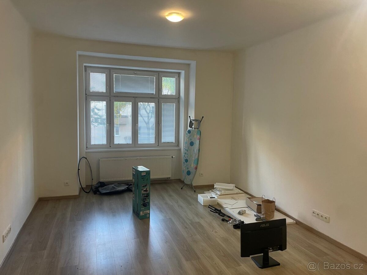 DLouhodobý pronájem bytu 2+kk (55 m2) - 9