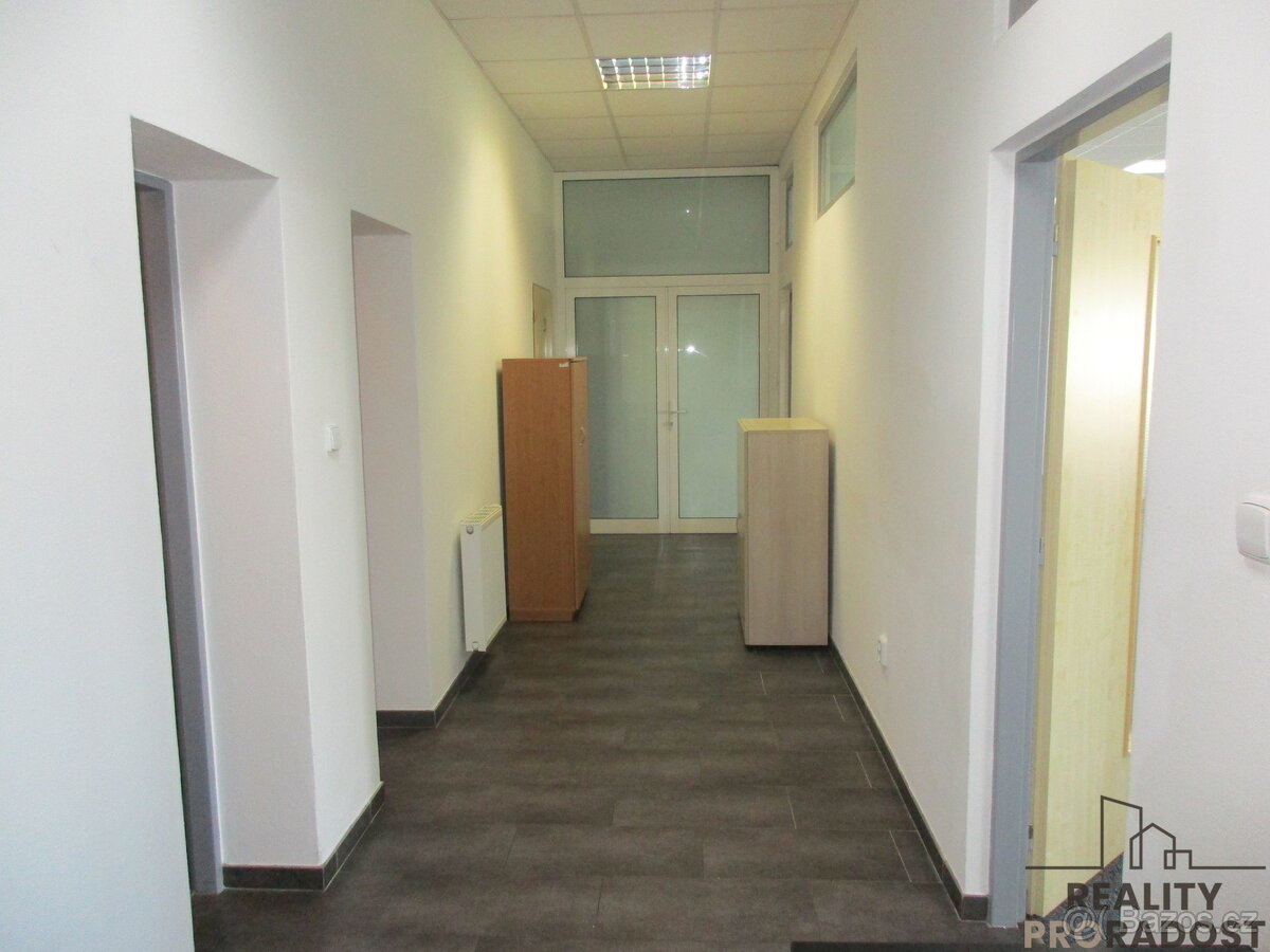 Pronájem nebytových prostor ve Veselí nad Moravou - 9