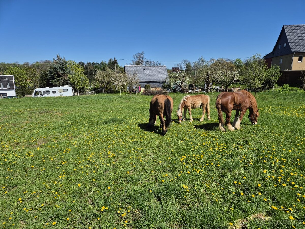 Usedlost u českỳch hranic - 9