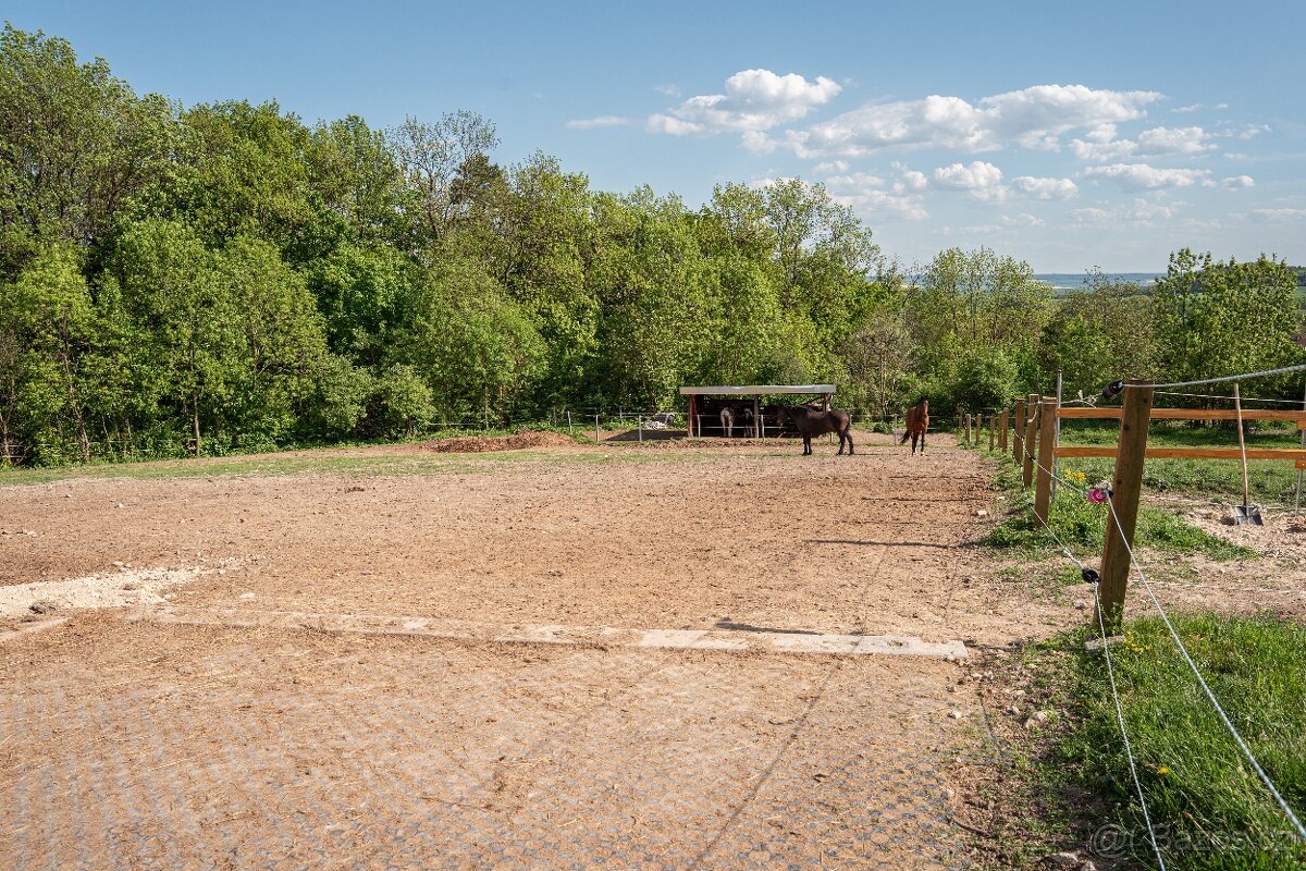 Venkovní ustájení - 9