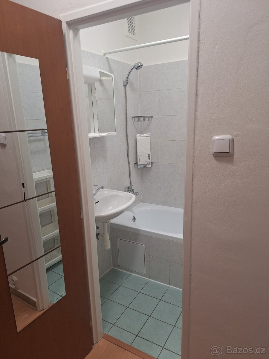Pronájem bez RK bytu 2+1 Brno Veveří - 9