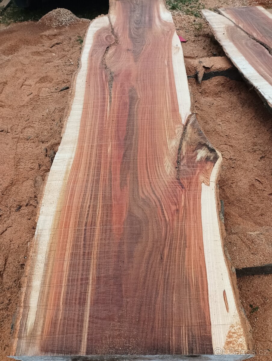 Fošny z červeného Jilmu - 9