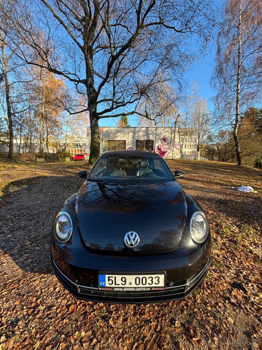 New beetle cabrio - 9