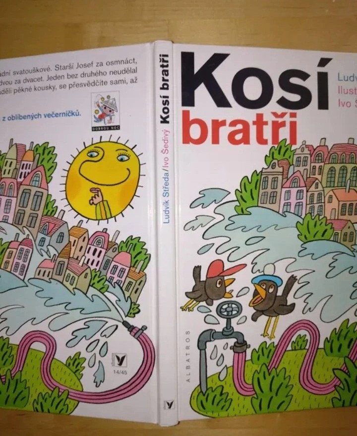 Kniha Kosí bratři - 9