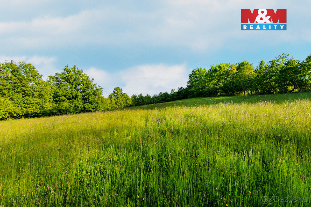 Prodej louky, 18692 m², Jílové u Prahy - 9