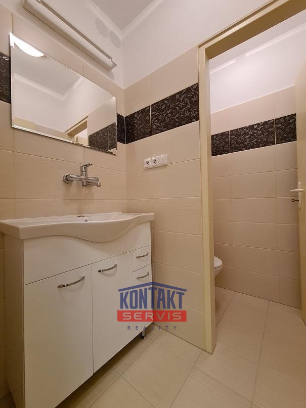 Pronájem bytu 3+1 přímo na náměstí Přemysla Otakara II, v Če - 9