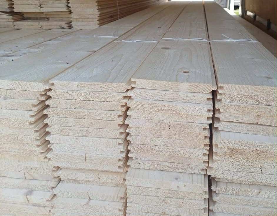 Rhombus sibiřský modřín - 9