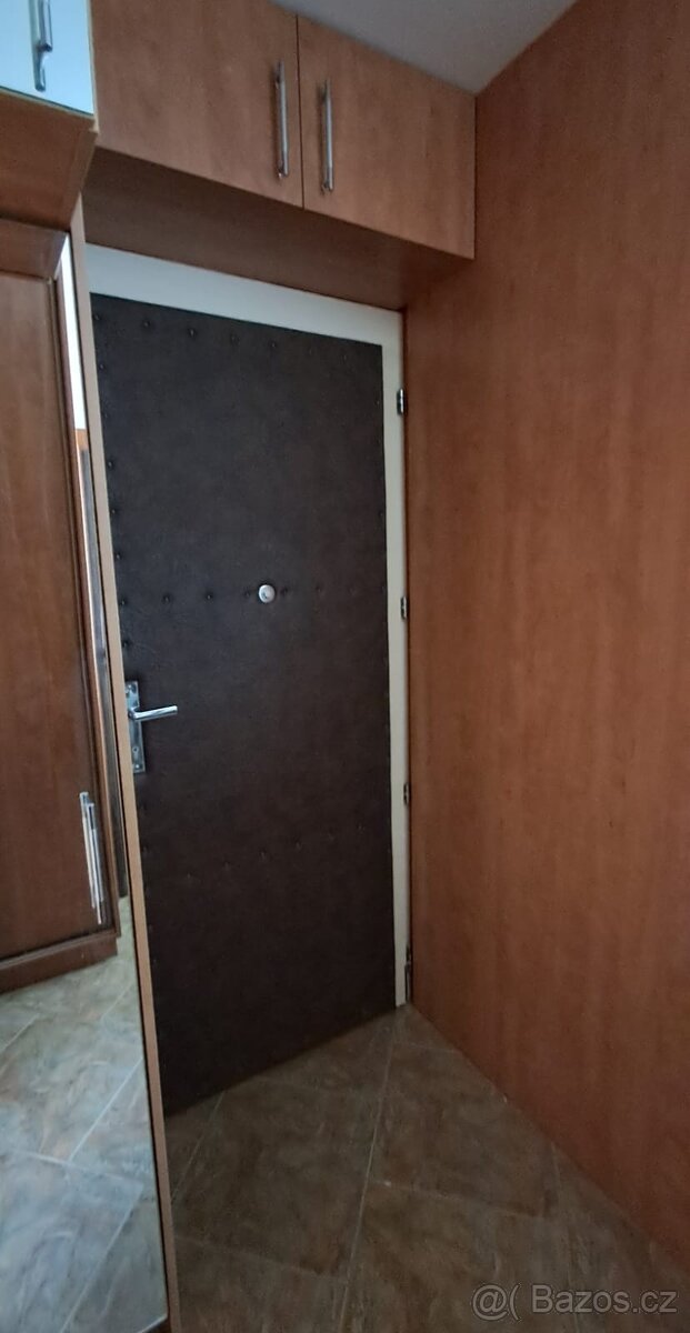 2+kk s balkónem a možností parkování, Palachova, Klíše - 9