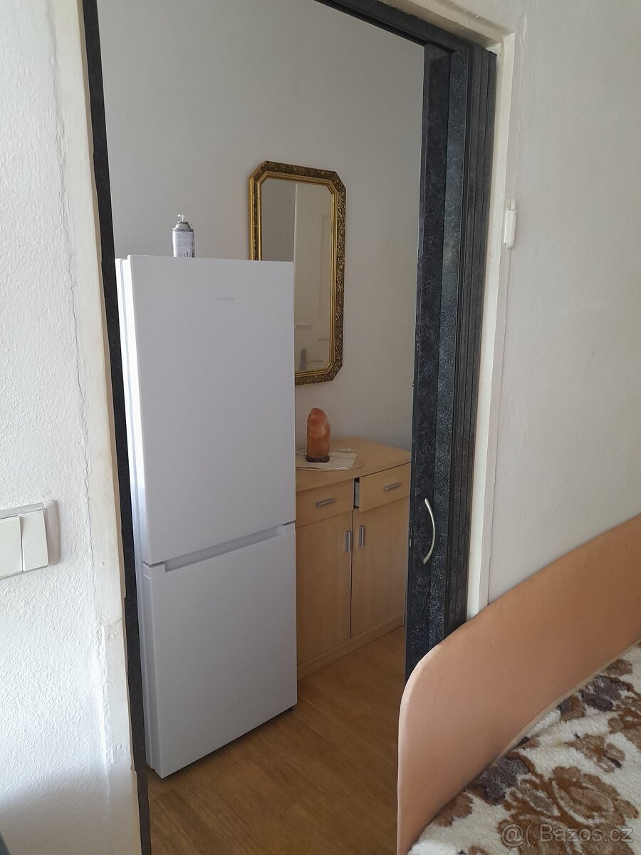 Byt v RD 1+1 s terasou - 9