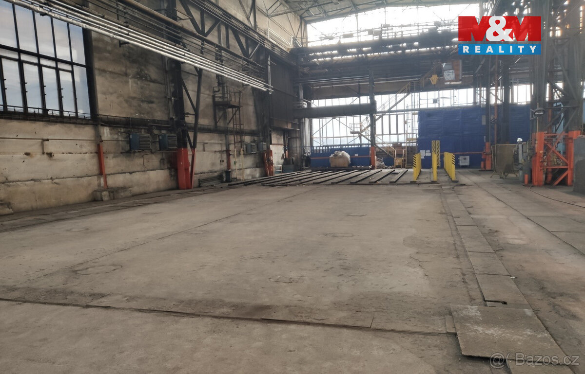 Pronájem výrobních a skladovacích prostor až 8500m2, Ostrava - 9