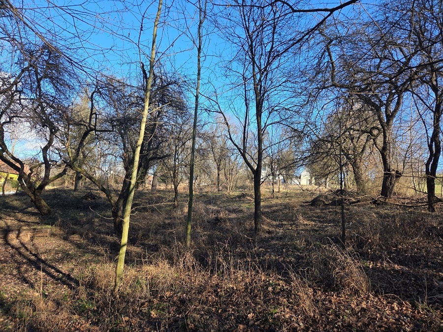 Prodej RD 3+1 Rudice - 9