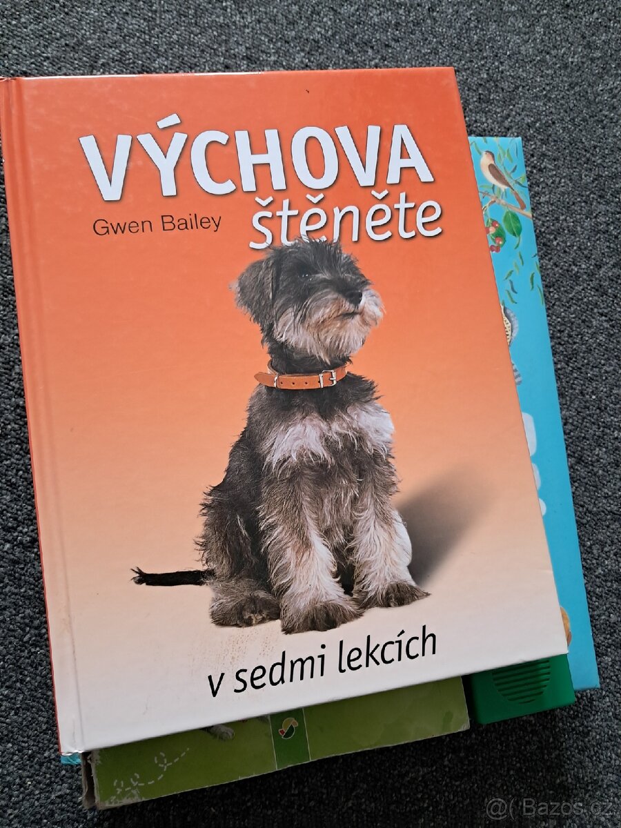 Knihy pro děti/mládež - 9