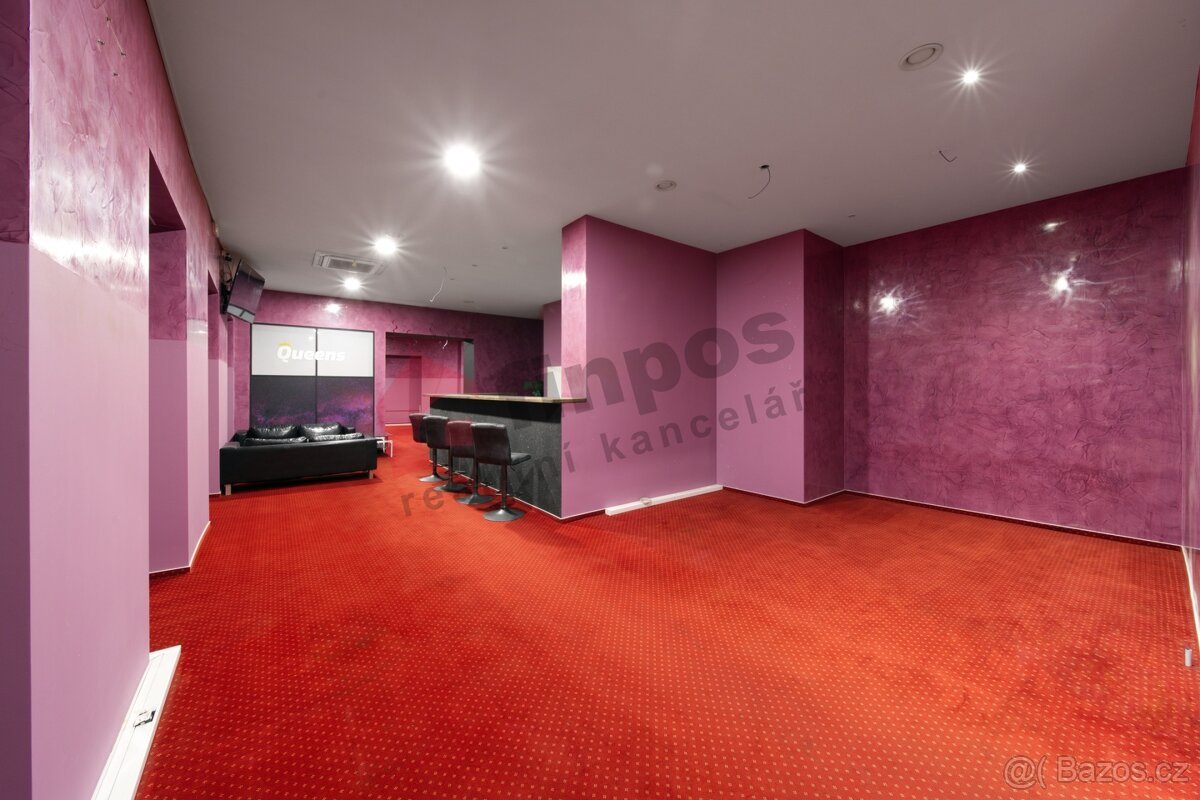 Pronájem komerčních prostor 230m2 Plzeň - 9