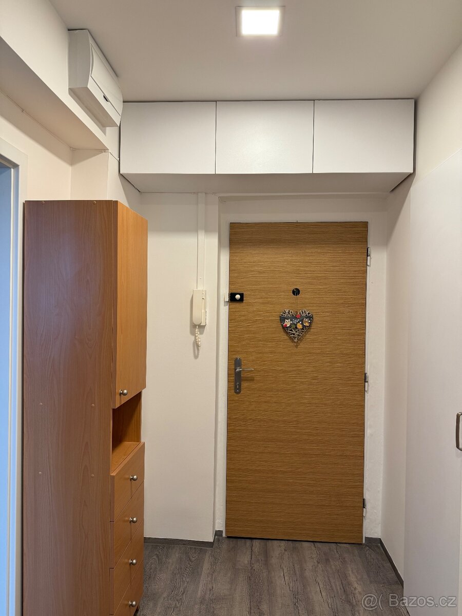 Pronájem bytu 1+1 na Příluku - 9