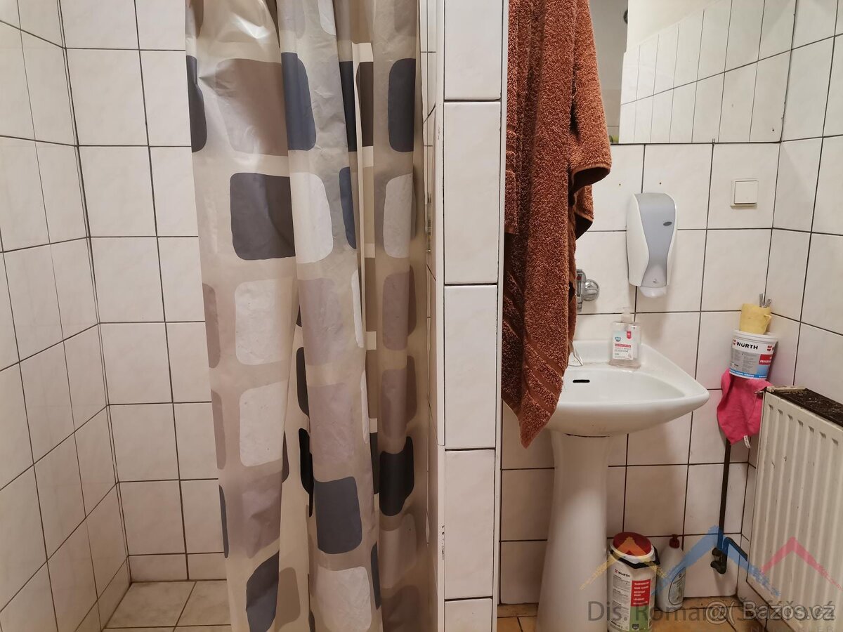 Pronájem komerčního prostoru - 9