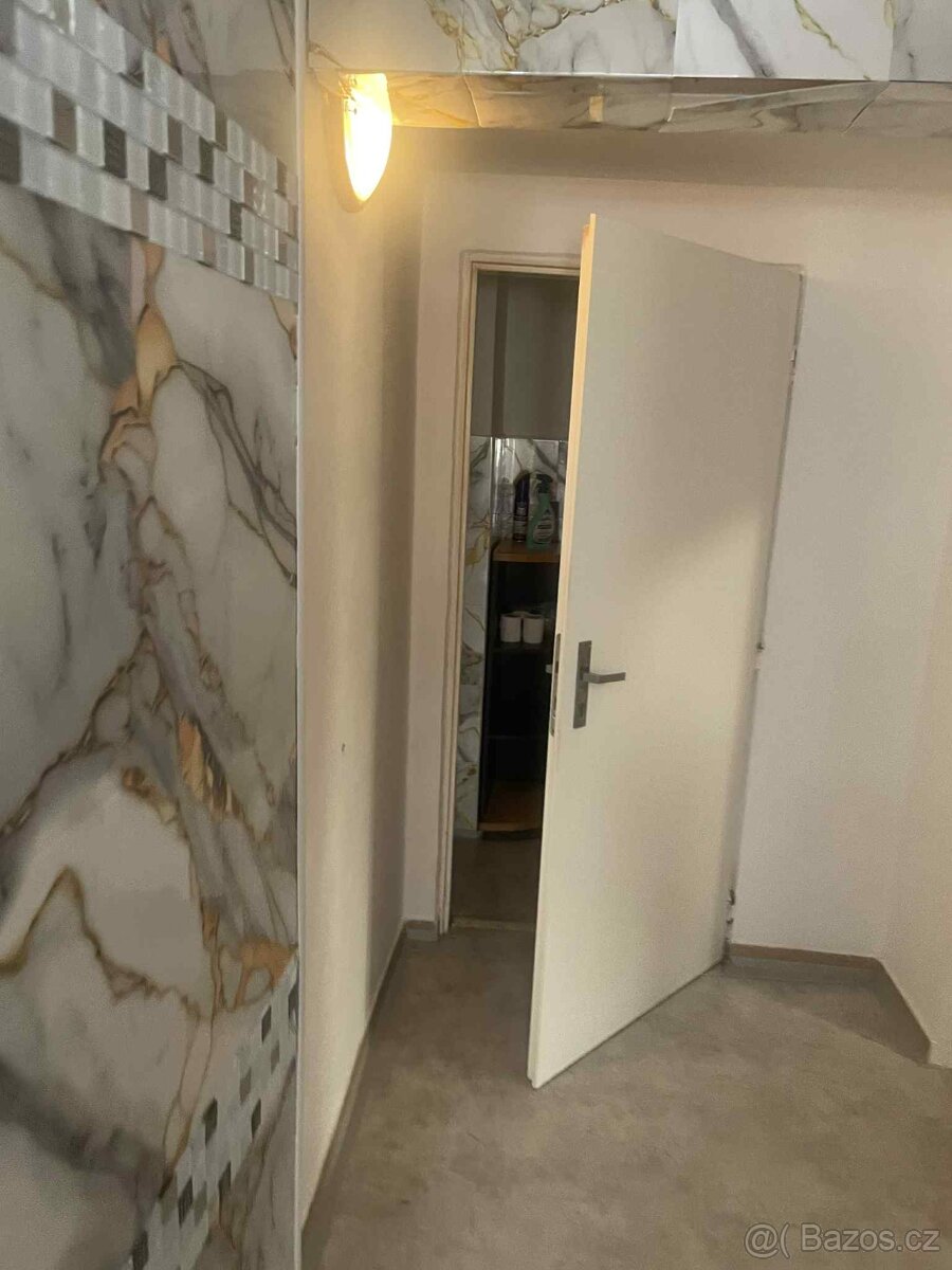 Pronájem 1 kk - 9