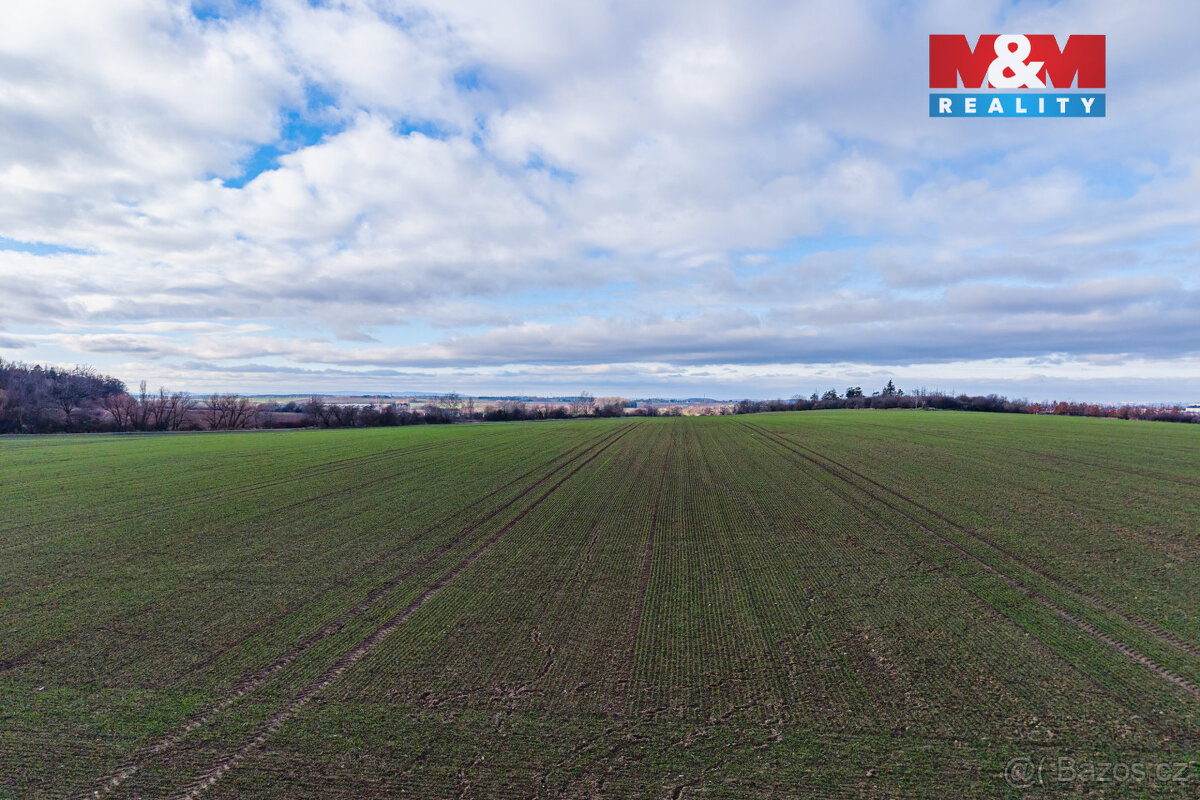 Prodej 1/2 pole, 3690 m², Jesenice - 9