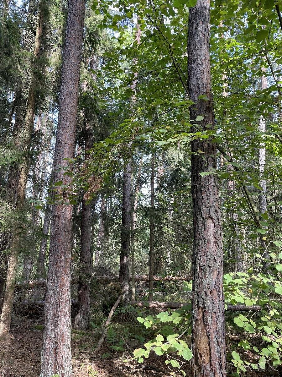 Prodám pozemky v k.ú. Drahov - 9