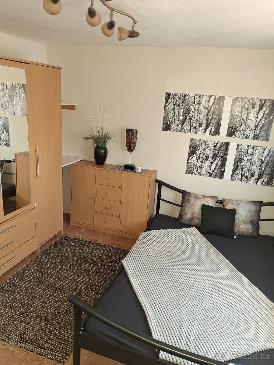 PRONAJMU KRÁSNÝ A SLUNNÝ ZAŘÍZENÝ BYT S VENKOVNÍM POSEZENÍM - 9