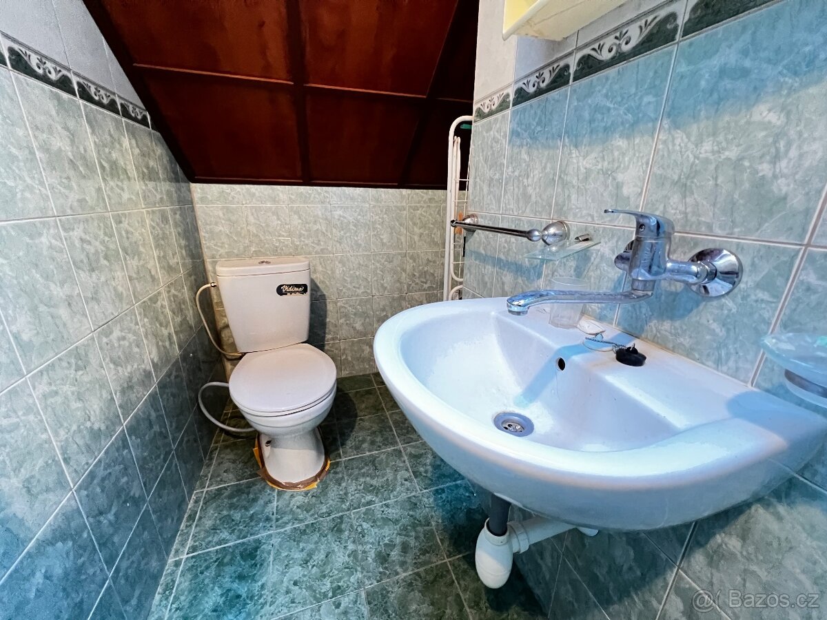 Pronájem bytu 1+1 50 m² - 9