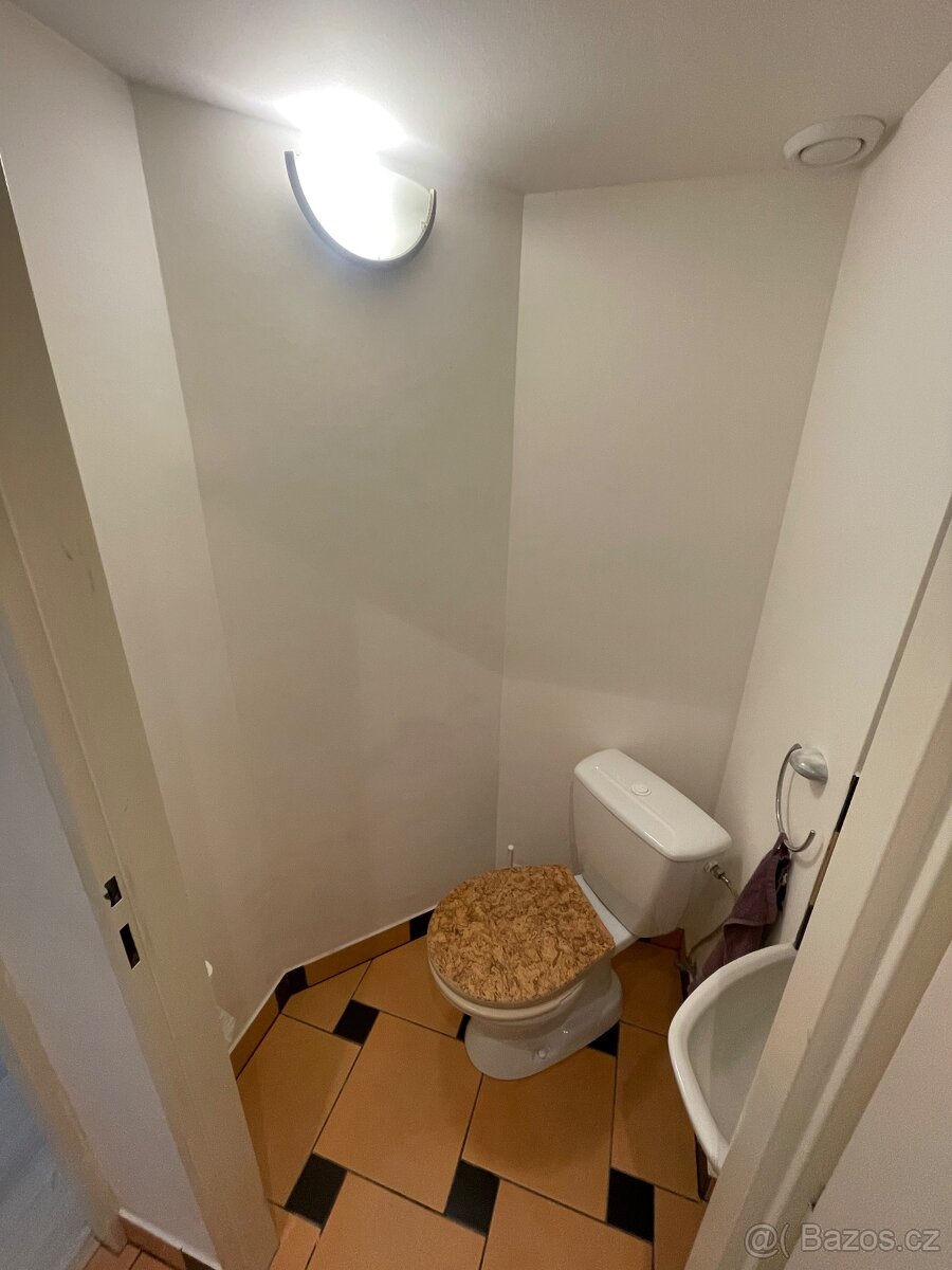 BYT K PRONÁJMU 1+KK 28m² KLÍŠE - ALEŠOVA - 9