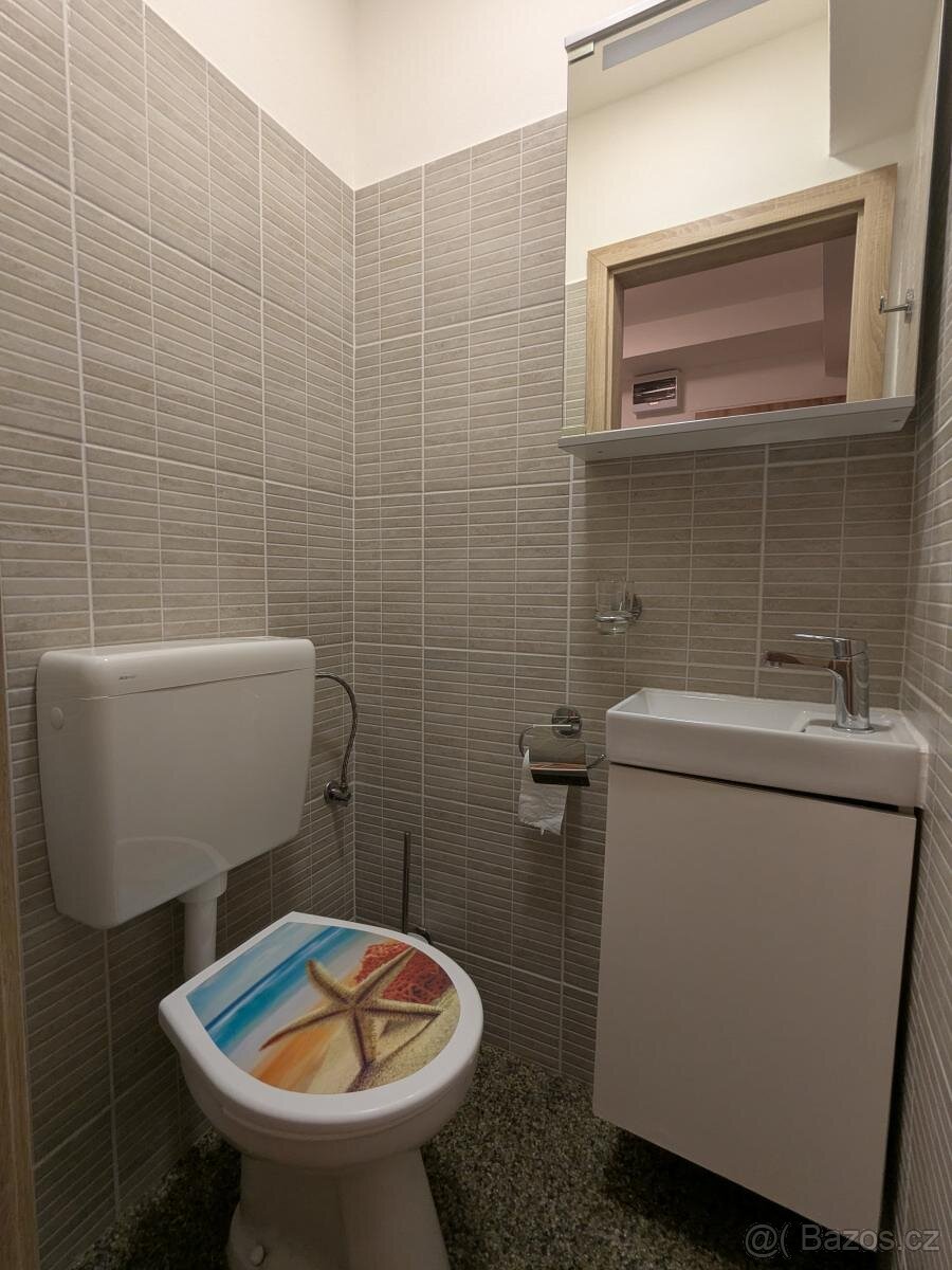 Pronájem bytu 2+kk, Okružní 269, Meziboří - 9
