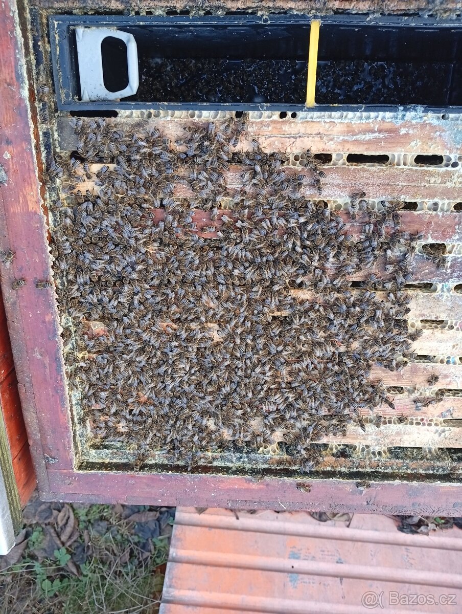 Vyzimované oddělky - 9