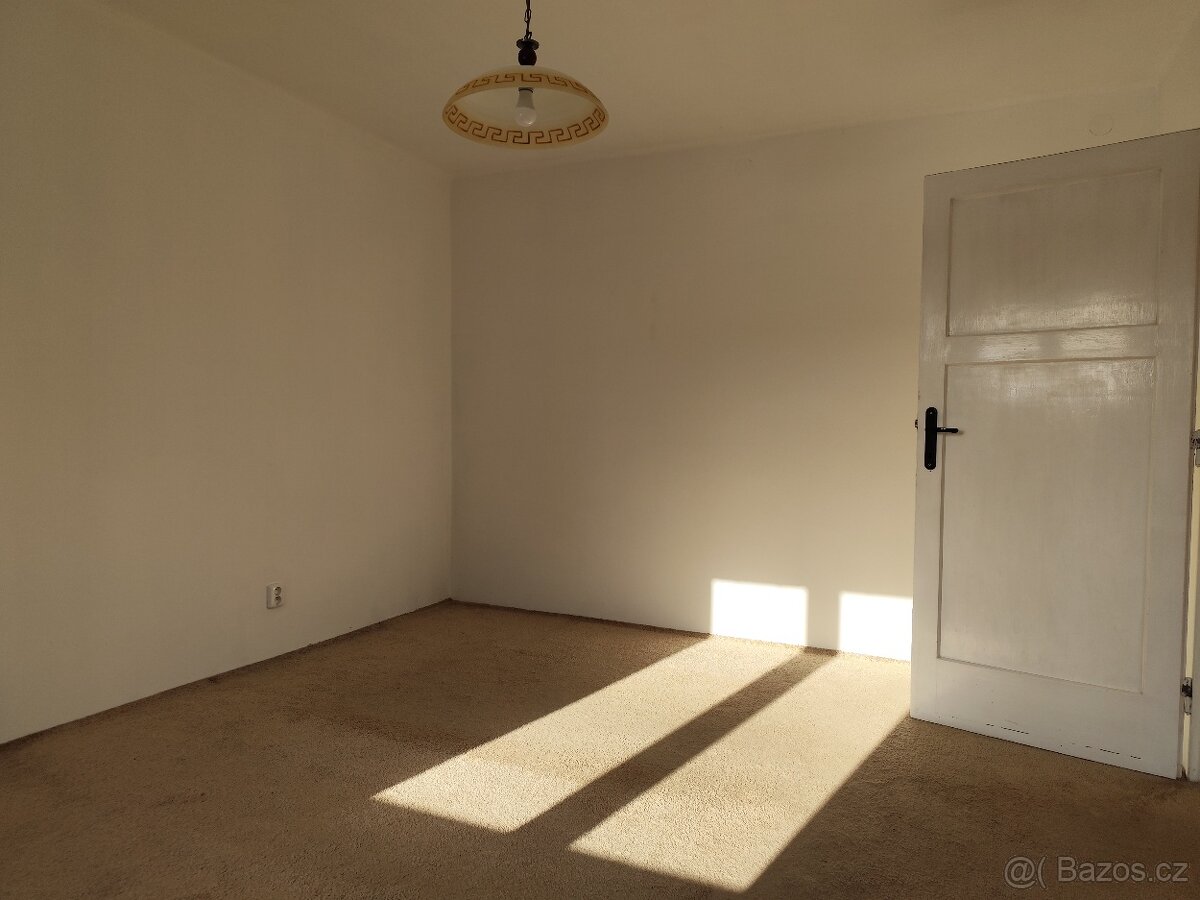 Pronajmu byt 2+1 - 9