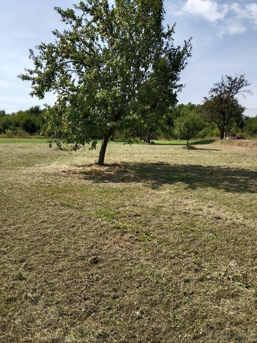 PRONÁJEM ZEMĚDĚLSKÉ STAVBY SKLADU HALY SE ZAHRADOU - 9