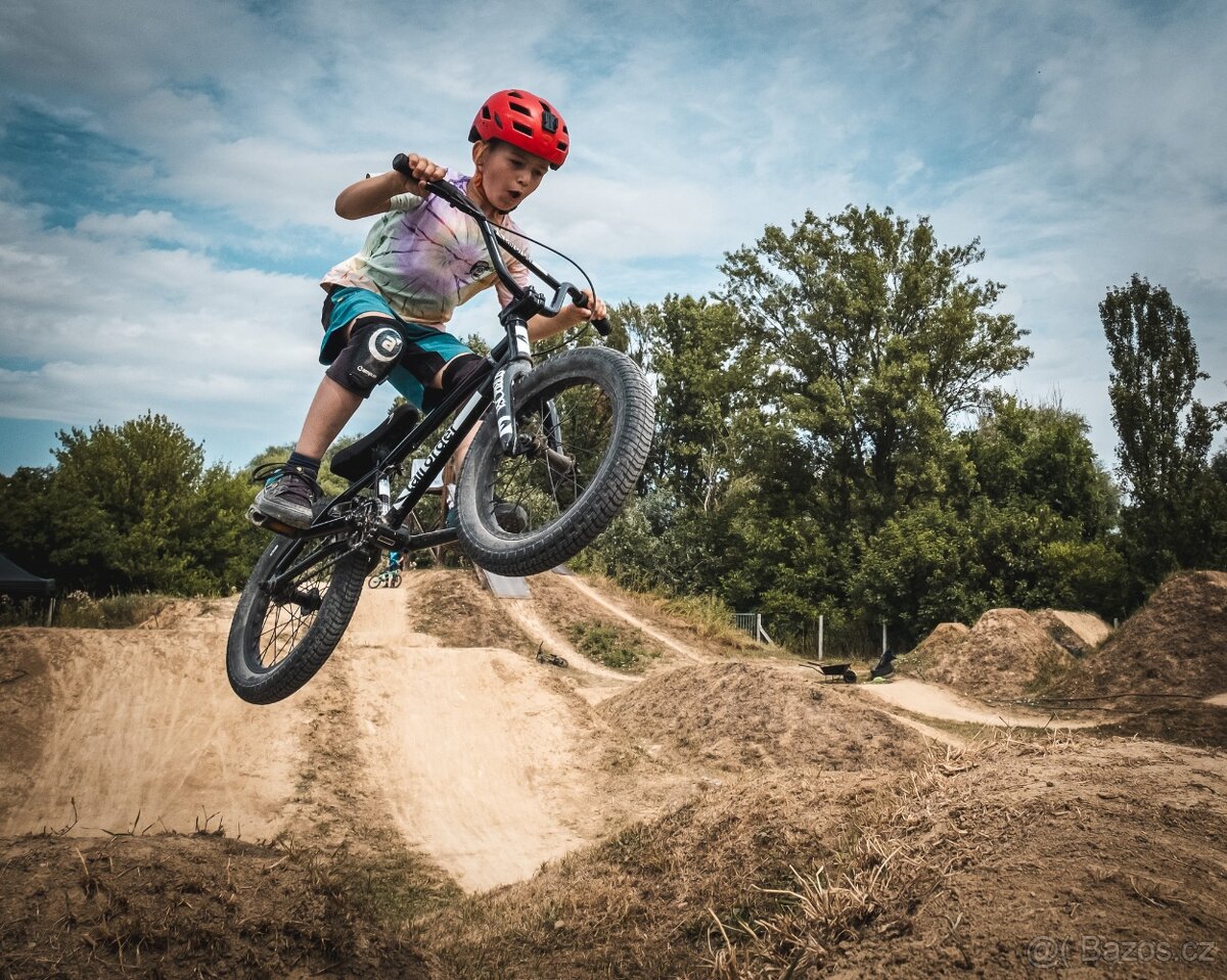 BMX kolo Tall Order 2022 RAMP 16" (pro 120-140 cm) - 9