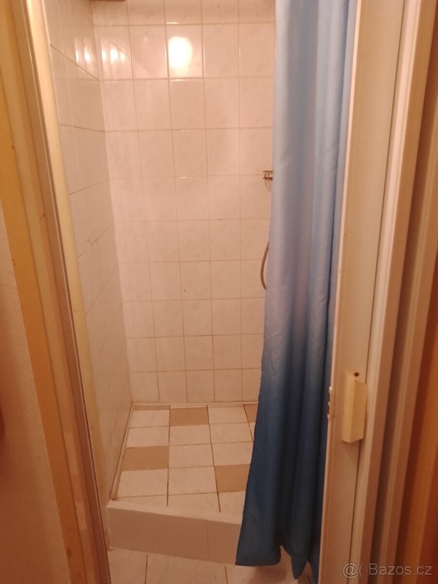 Prodám nebytový prostor - 9