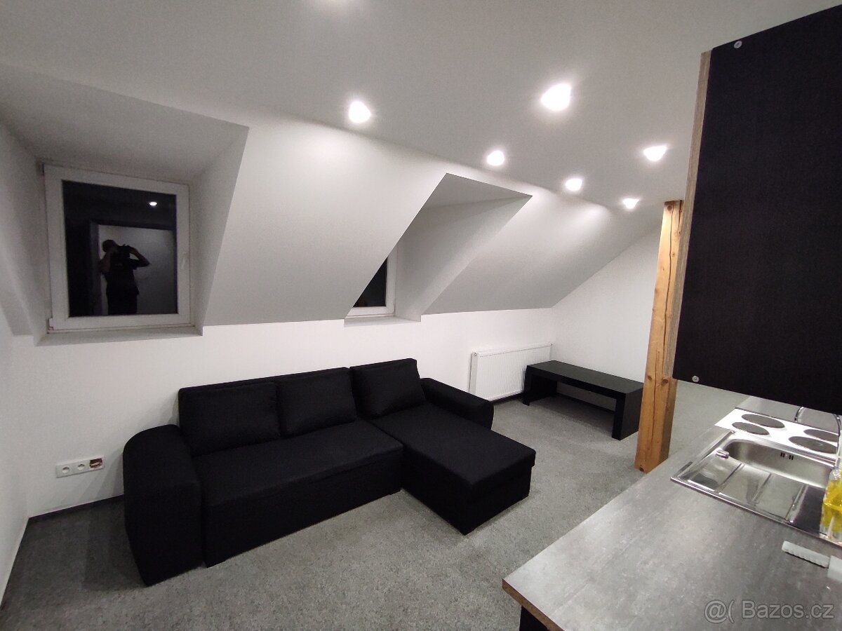Pronájem Bytu 3 + KK v rodinném domě - 9