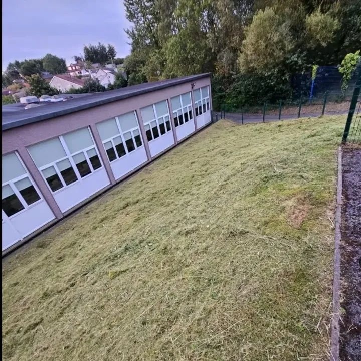 Údržba zeleně - 9