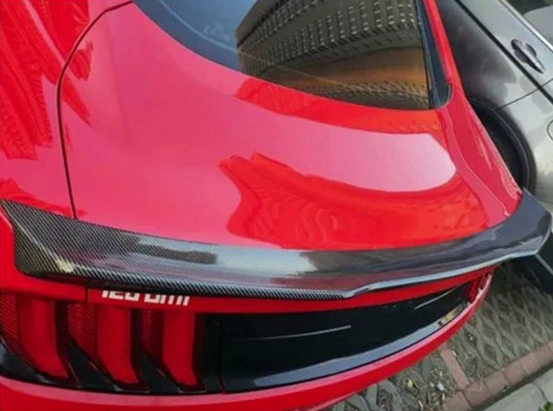 křídlo pro Mustang Shelby 2015-2021- V2 - 9