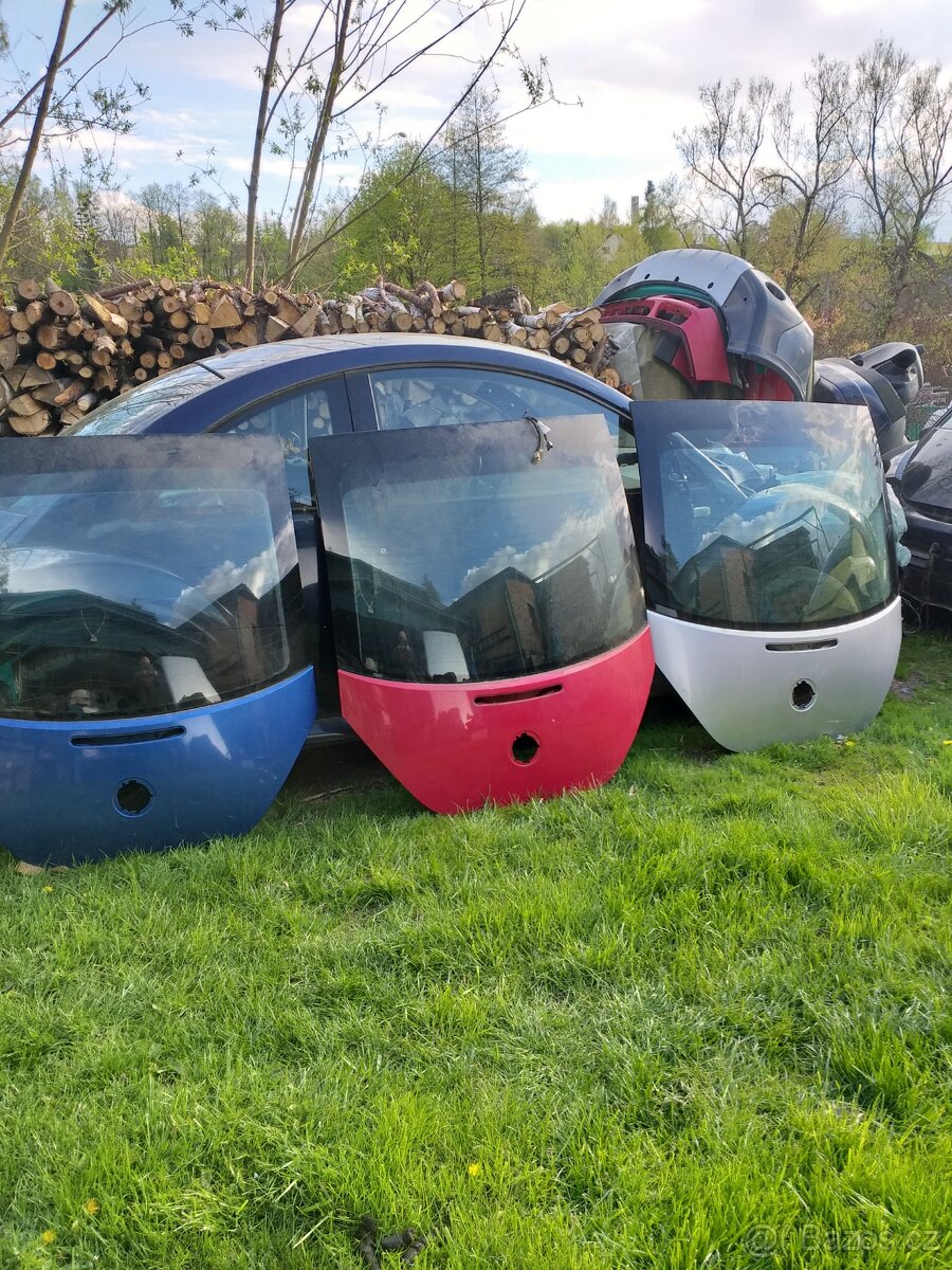 new beetle ND 98-2005 - 9