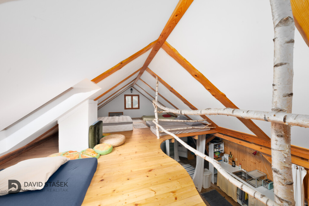 Prodej obrovského domu s různými způsoby využití hned nad Pa - 9