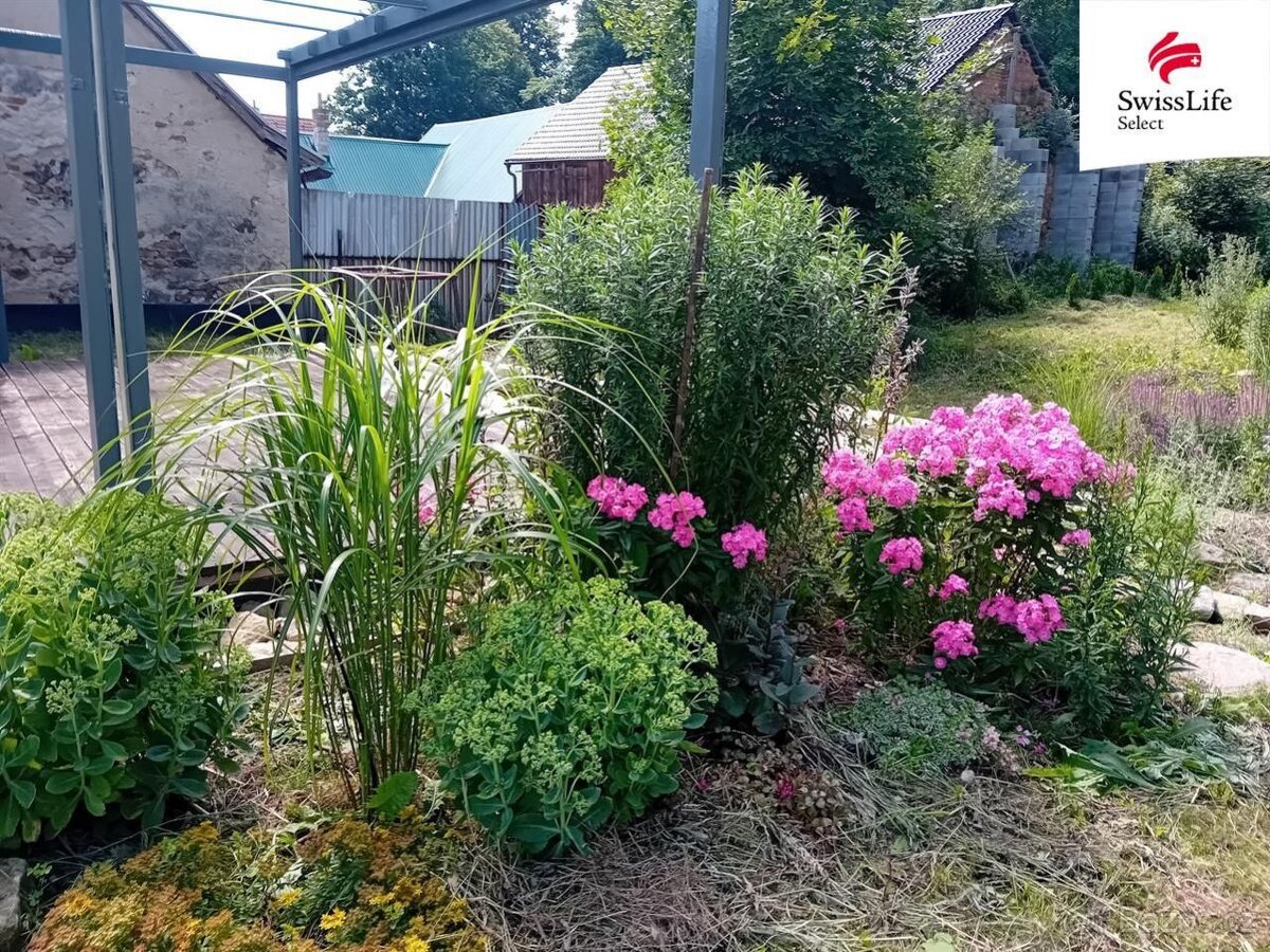 Prodej stavebního pozemku 3877 m2, Horní Cerekev - 9