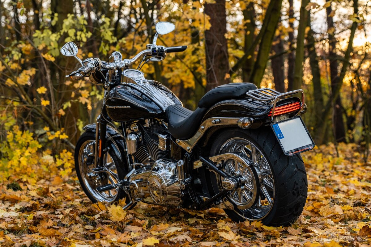 Harley - Davidson Springer CVO 110 - 9