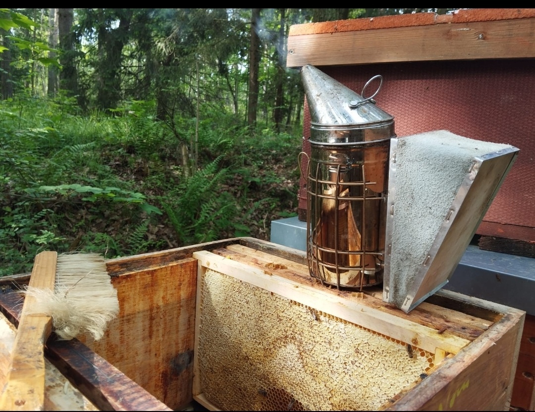 Včelí oddělky 2026 na rám. míře 39x24 - 9