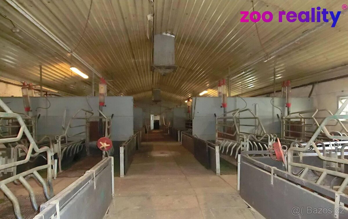 Prodej, Zemědělský objekt, 18720m² - Majdalena - 9