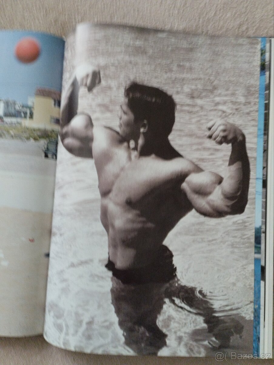 Arnold Schwarzenegger - 9