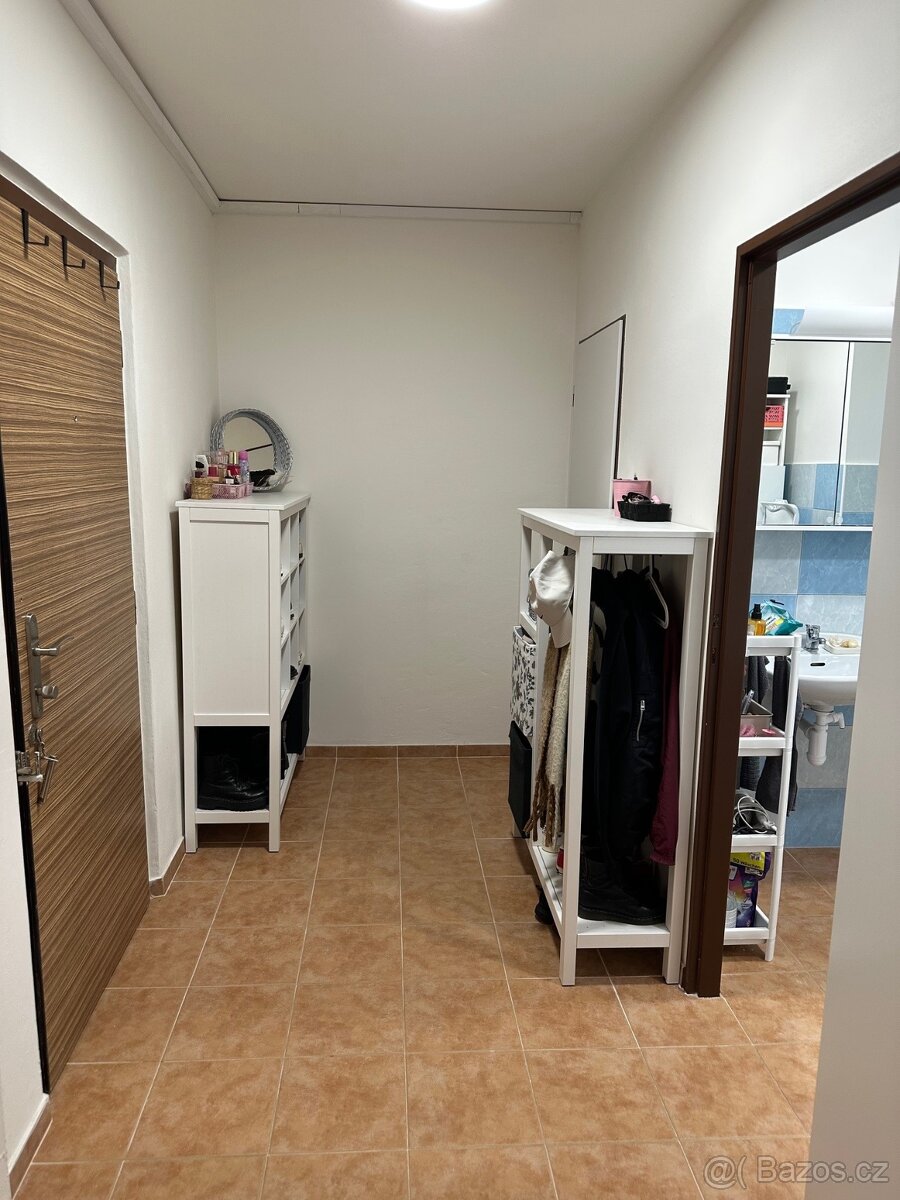 Byt k pronájmu - 9