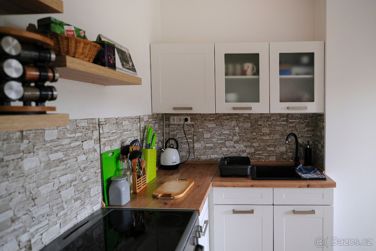 Prodám dům 65 m2 po částečné rekonstrukci, pozemek 732 m2 - 9