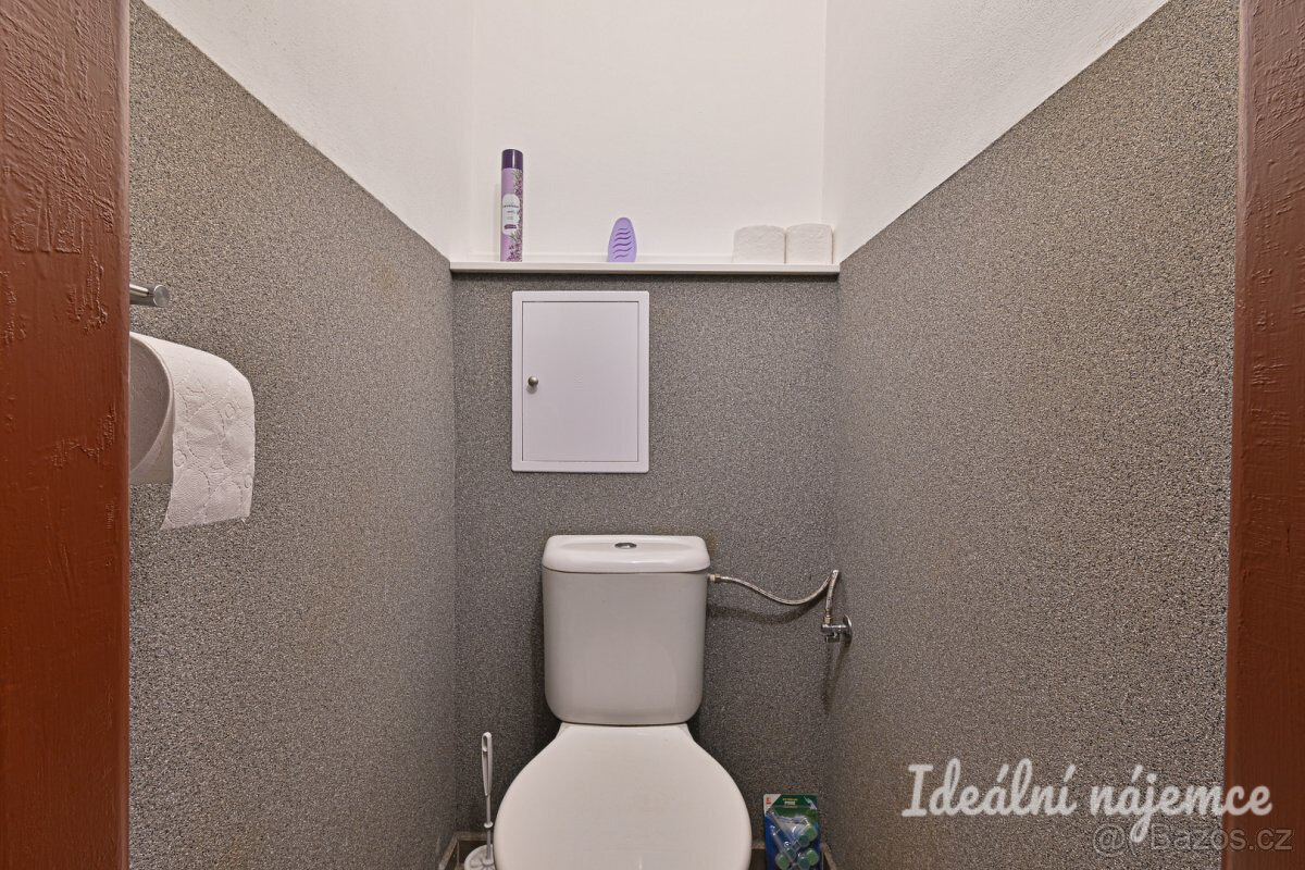Prodej bytu 1+1 35 m² Nížkovice - 9