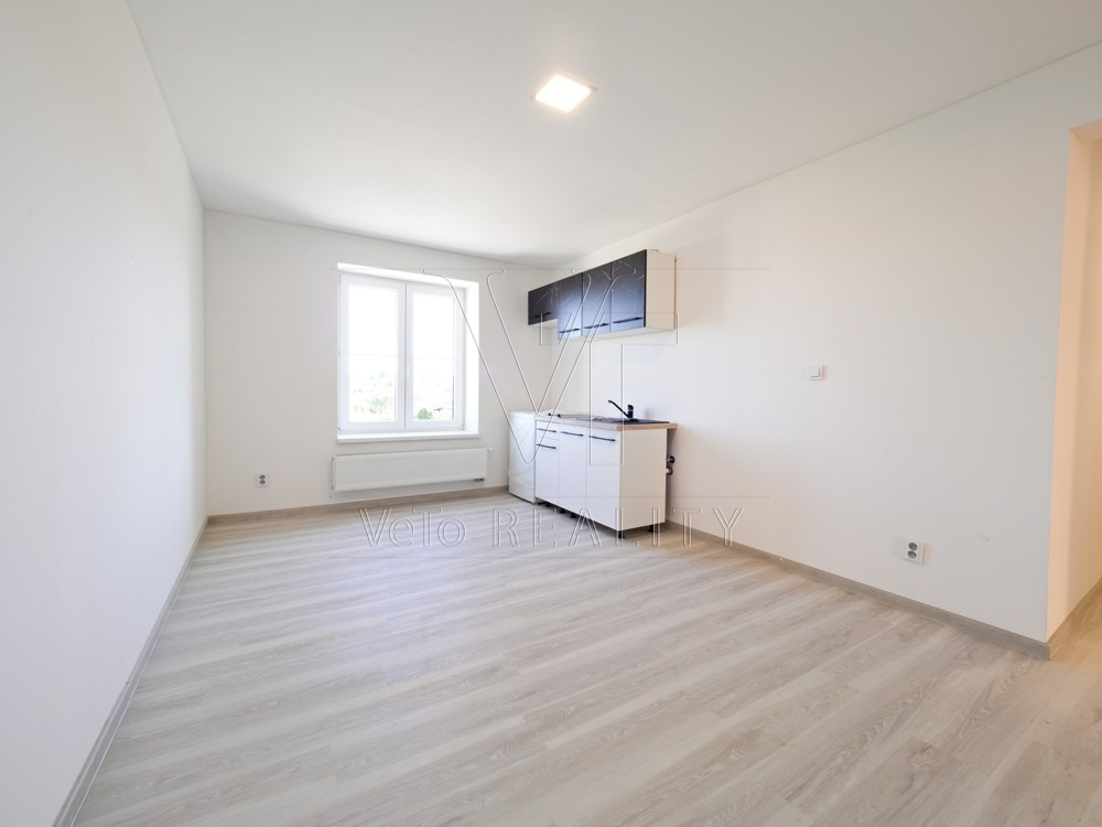 Prodej, nový penzion se třemi byty, obec Zaječ - 9