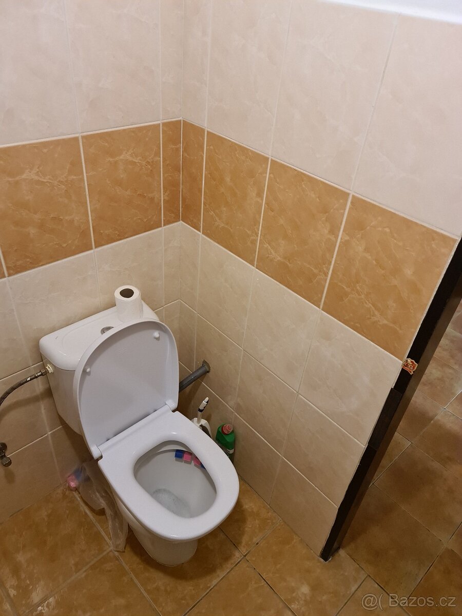 PRONÁJEM DOMU 2+1 , 57m2 Benátky Kbel - 9