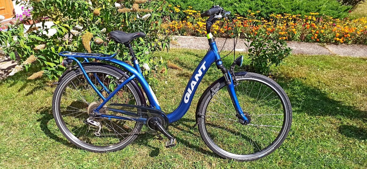 Silniční kolo Giant Mono - 9