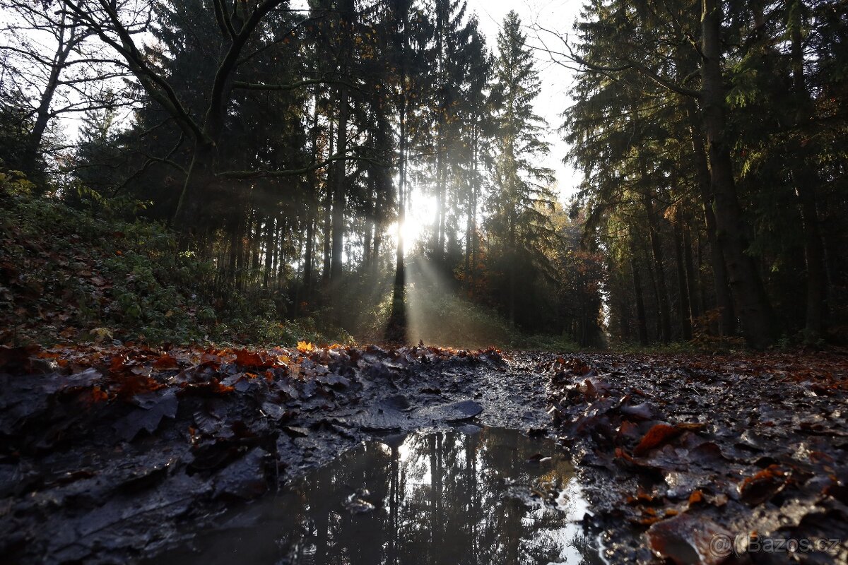 Canon RF 16 mm F2.8 STM - 9