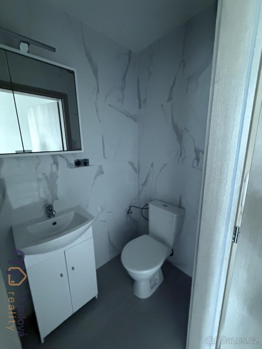 Pronájem bytu 1kk 30 m2 - 9