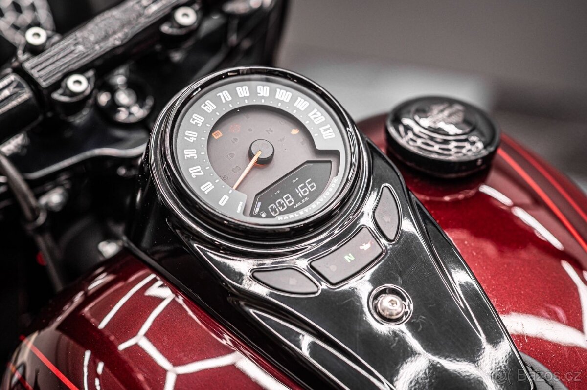 2021 Harley Davidson Softail Custom - 9